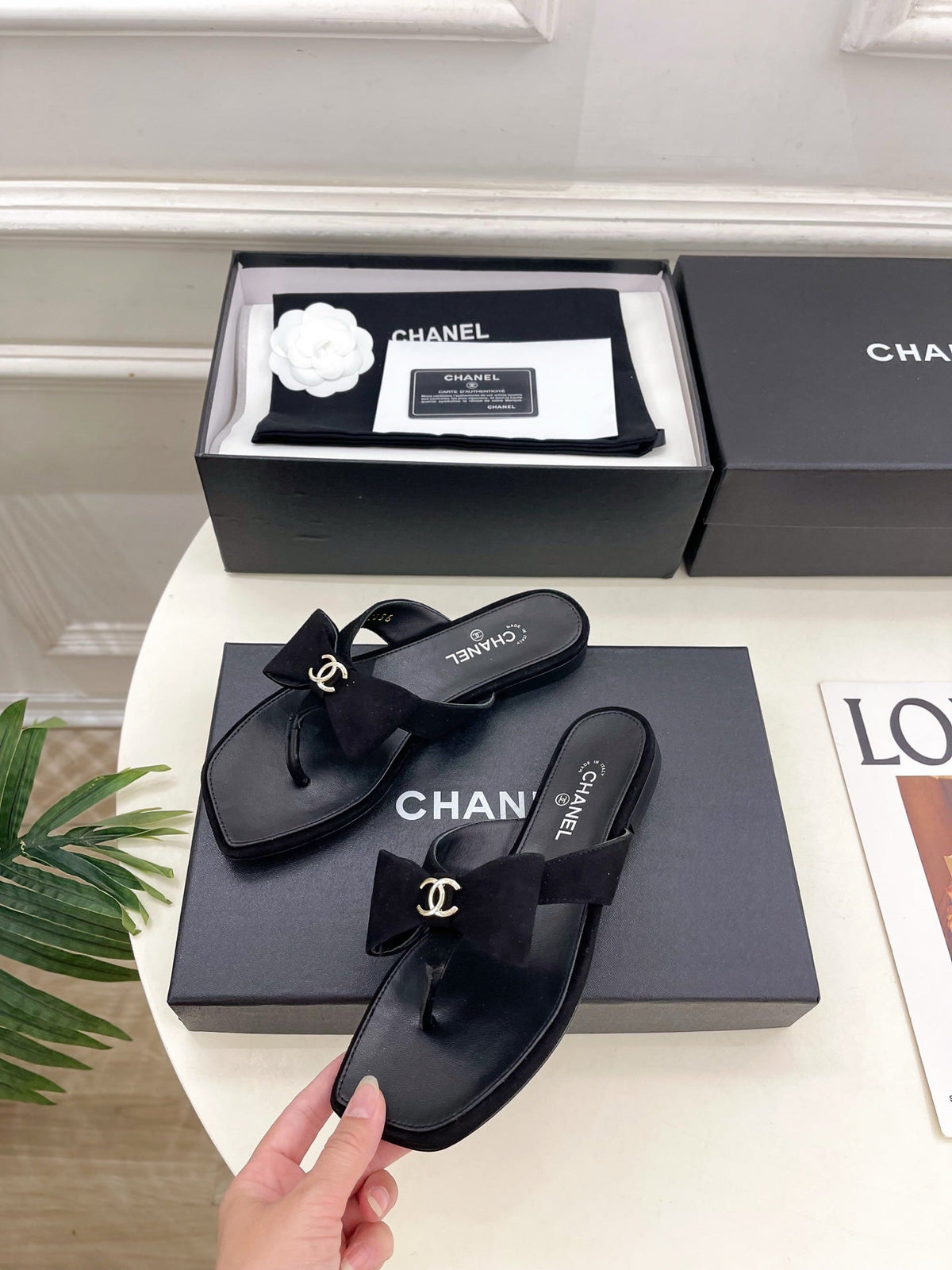 CC Bow Thong Flat Sandals Black Suede 891774