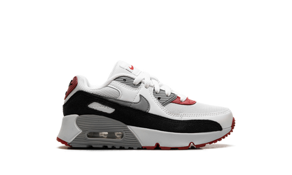 Air Max 90 PS "Photon Dust Grey" CD6867 019