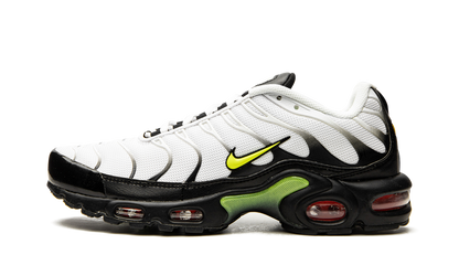 Air Max Plus "Retro Future" AJ2013 100