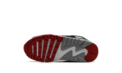 Air Max 90 PS "Photon Dust Grey" CD6867 019