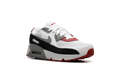 Air Max 90 PS "Photon Dust Grey" CD6867 019