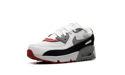 Air Max 90 PS "Photon Dust Grey" CD6867 019