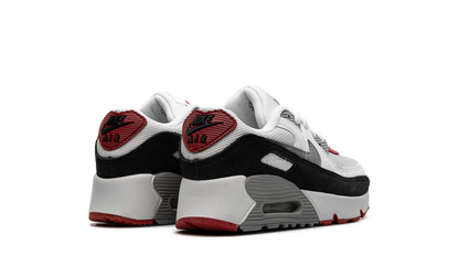 Air Max 90 PS "Photon Dust Grey" CD6867 019